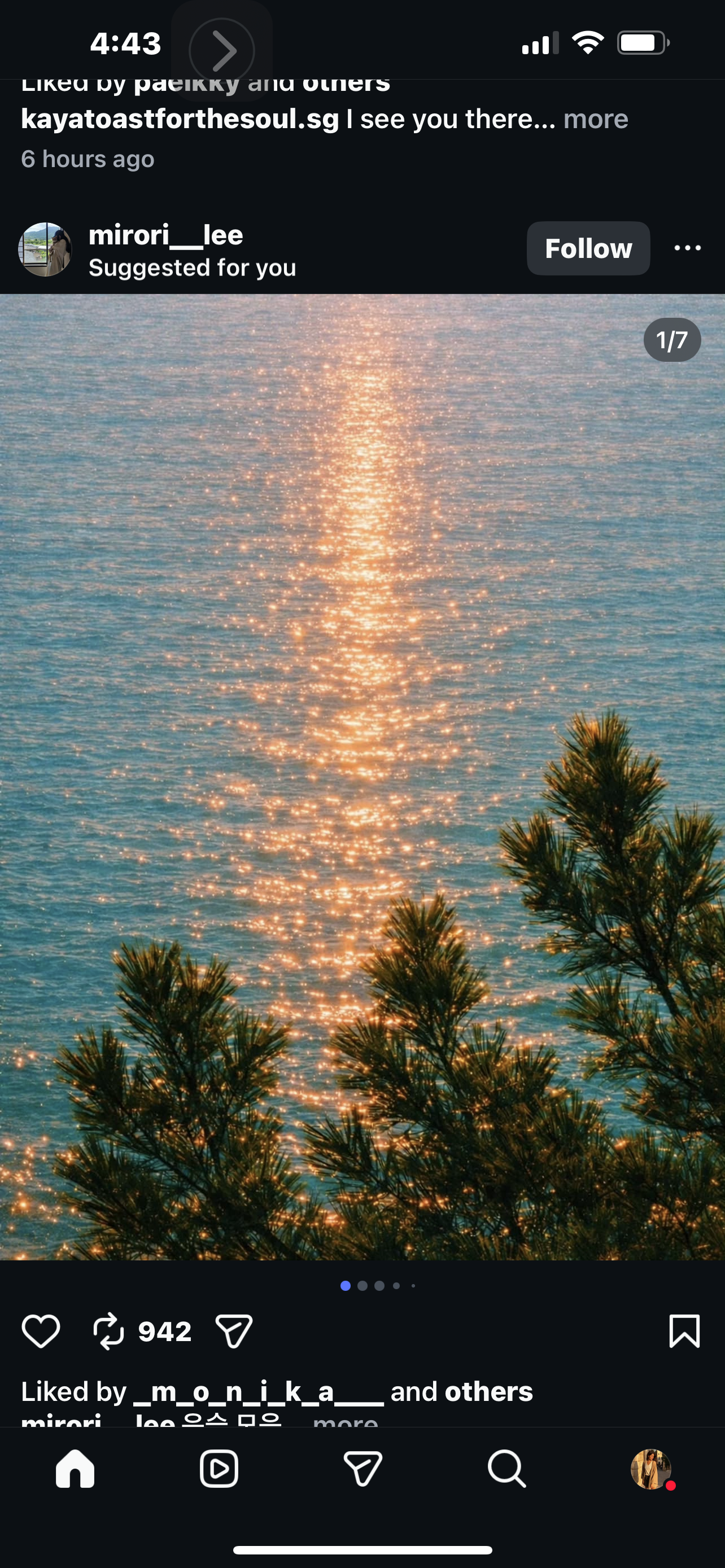 Sun glade — golden light reflecting on the sea through pine trees